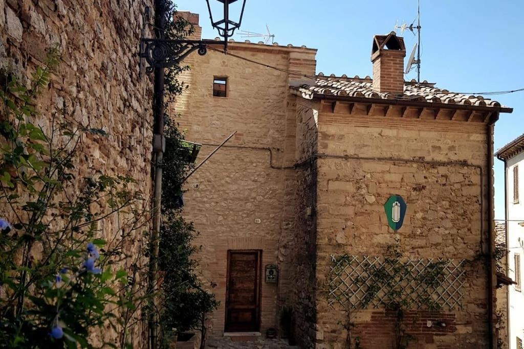 *La Torre Di Amelia* Nel Cuore Dell' Umbria Zewnętrze zdjęcie